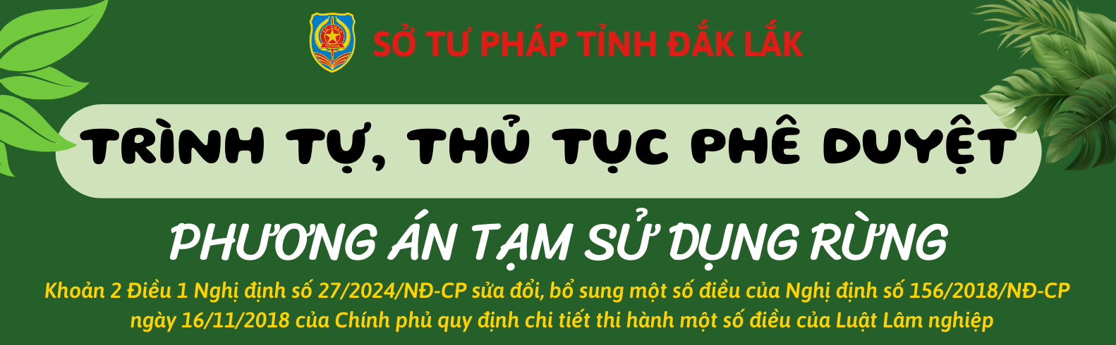 [Infographic] Trình tự, thủ tục phê duyệt phương án tạm sử dụng rừng